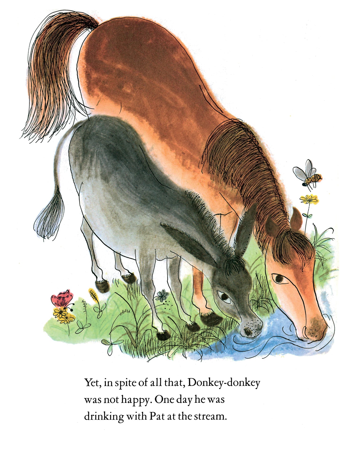 Donkey-Donkey