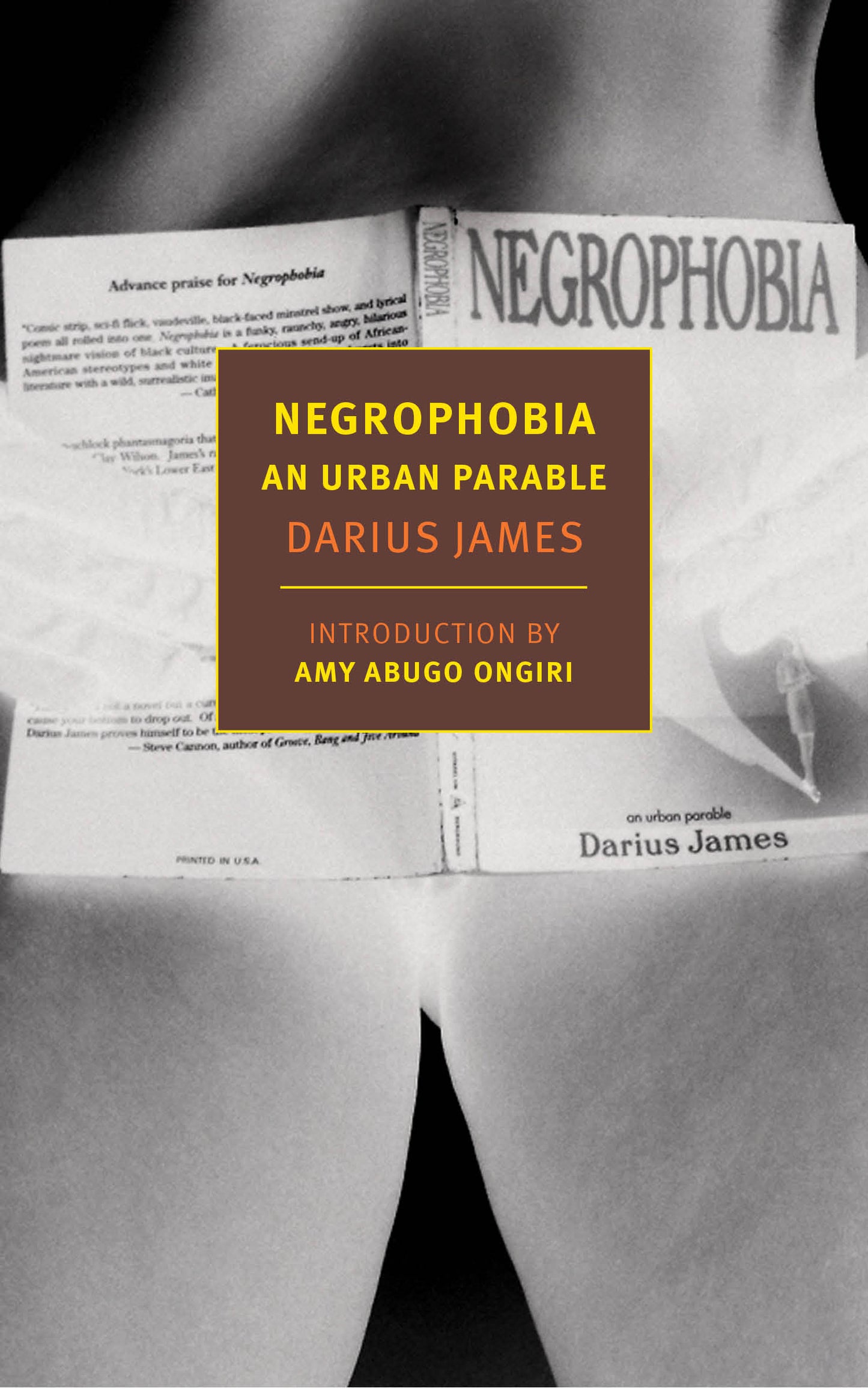 Negrophobia